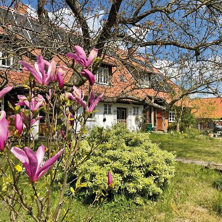 Ferienhof Rauchhaus Karft 外观 照片