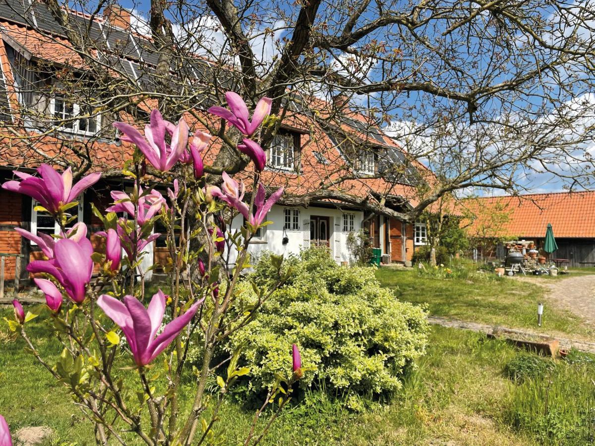 Ferienhof Rauchhaus Karft 外观 照片