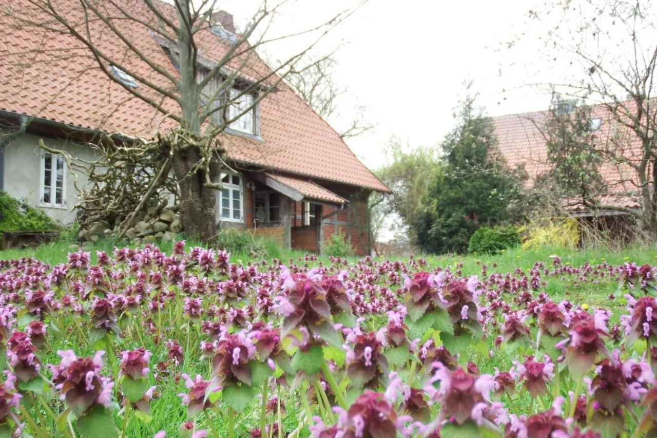 Ferienhof Rauchhaus Karft 外观 照片